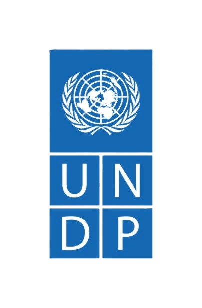 UNDP Partner